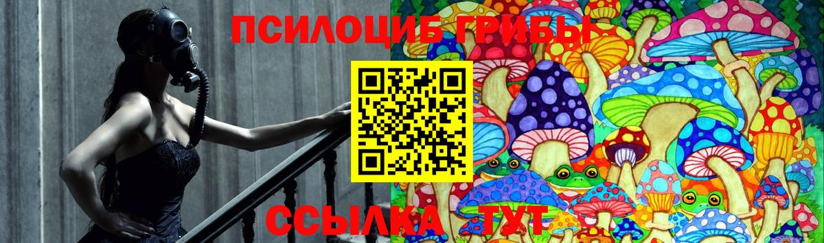 Артём  Галлюциногенные грибы GOLDEN TEACHER  Вход с VPN 
