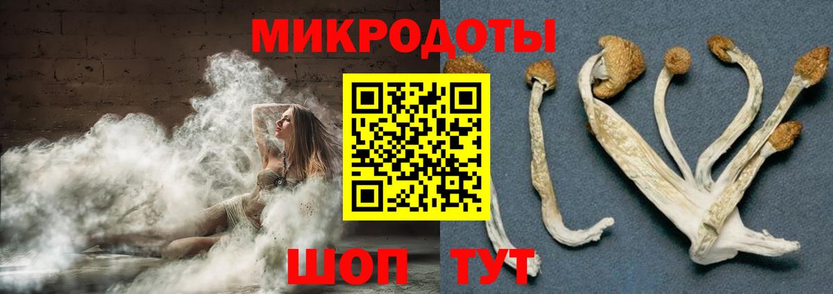 Галлюциногенные грибы мицелий Артём