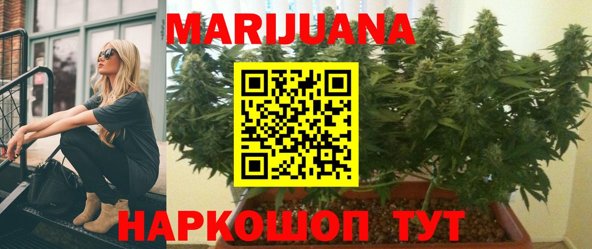 Конопля тримм  Бошки Шишки марихуана  Артём  Вход с VPN 